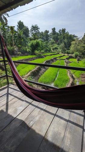 a hammock on a porch with a view of a field at hornbill river cottage udawalwa in Udawalawe