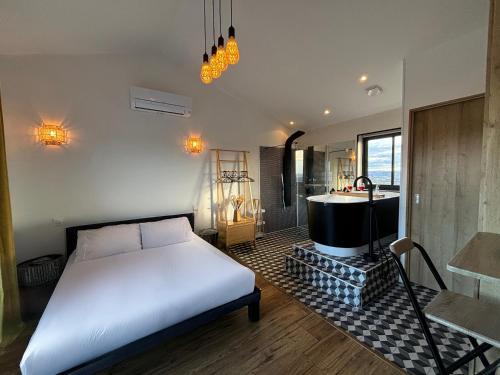 Photo de la galerie de l'établissement L'Évasion d'Albi - Balnéo et Vue, à Albi