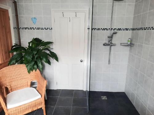 a bathroom with a shower with a toilet and a plant at Super king bedroom with large ensuite in Brighton & Hove