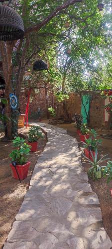 a stone walkway in a garden with potted plants at the secret garden in Pushkar