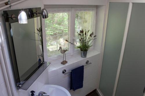 een badkamer met een wastafel, een spiegel en een raam bij Moulin De Villesaint in Faux-la-Montagne