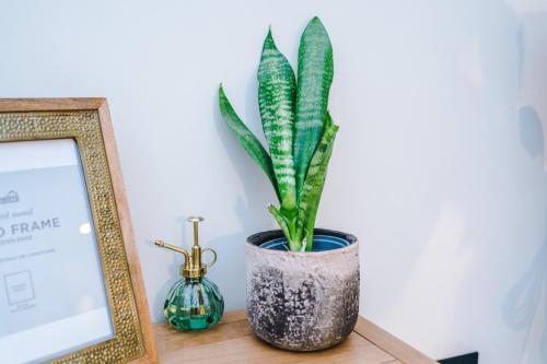 a plant in a vase on a table next to a picture at Foden's House by YourStays - 2 Bedroom Cottage in Sandbach with gorgeous dining room extension, High end finish in Sandbach
