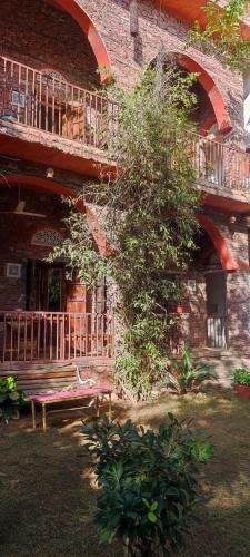 a brick building with a bench next to a tree at the secret garden in Pushkar