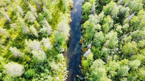 an overhead view of a river in a forest at Villa Armas 47 in Äkäslompolo