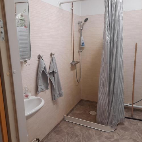 a bathroom with a shower and a sink at Stall Norrby in Norrby