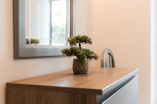a plant in a vase sitting on top of a dresser at Apartamentos Julieta in Albufeira