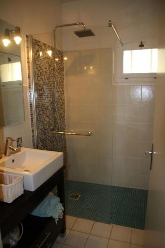une salle de bain avec une douche et un lavabo et une douche dans l'établissement Petite maison de charme à la campagne, à Contes