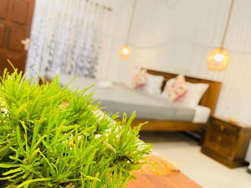a bedroom with a bed and some green plants at Diamond Key Ahangama in Piyadigama