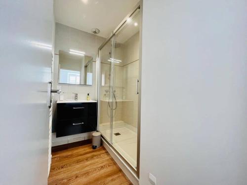une salle de bain avec douche et lavabo dans l'établissement Le Petit Minage - Charmant T2 Hypercentre - Wifi, à La Rochelle