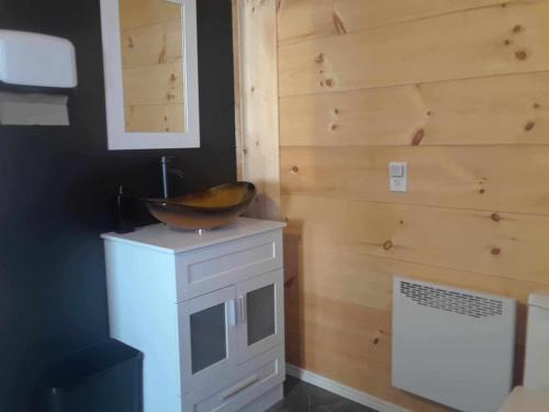 a bathroom with a sink and a wooden wall at La Cabane aux Chevaux in Saint-Onésime