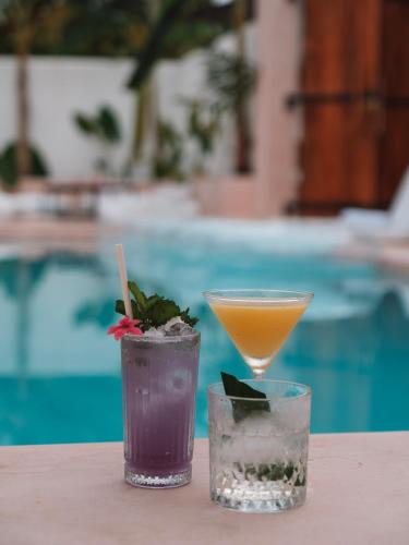 Bebidas en Animals Boutique Hotel - Adults Only
