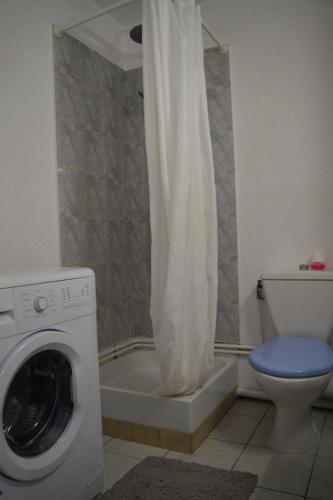 une salle de bain avec machine à laver et toilettes dans l'établissement Appartement 2 pièces 4 couchages SAINT CYPRIEN SC140-E95, à Saint Cyprien Plage