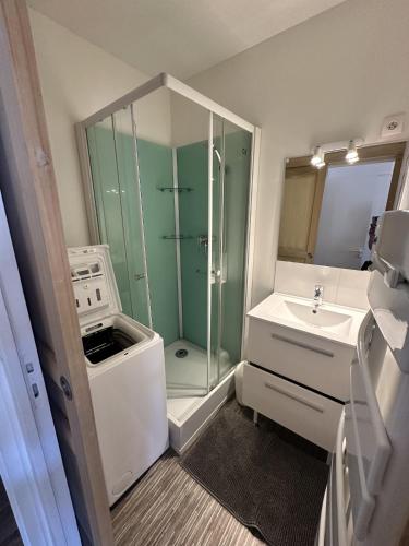 une salle de bain avec douche et lavabo dans l'établissement Coeur de ville - studio pour 2 personnes, à La Rochelle