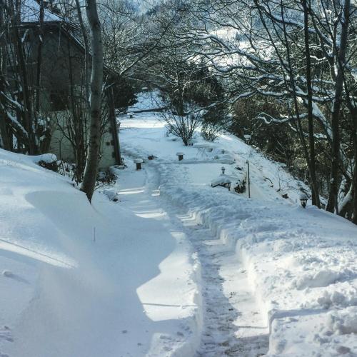 un chemin enneigé avec des arbres et une maison dans l'établissement La Pierre d'Eau, à Fréland