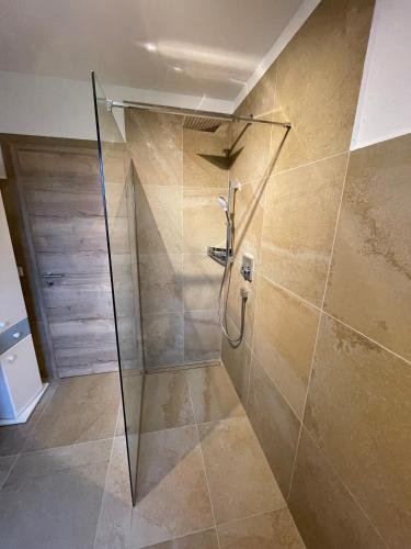a shower with a glass door in a bathroom at FeWo Wünschendorf in Dürrröhrsdorf