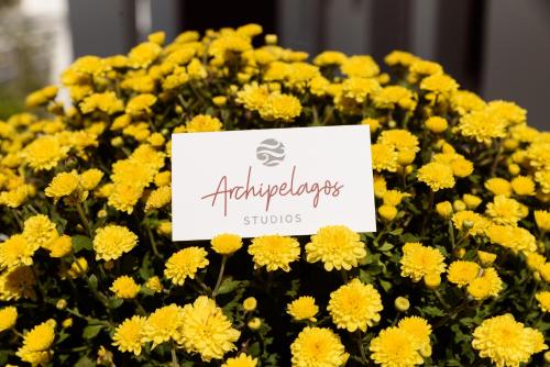 Certifikát, ocenenie alebo iný dokument vystavený v ubytovaní Archipelagos Studios