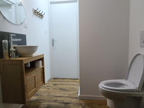une salle de bain avec un lavabo, des toilettes et un miroir dans l'établissement Studio proche centre-ville, à Vitré