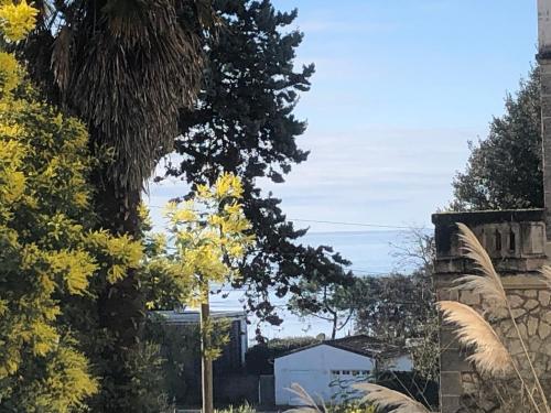 ApptT2 Terasse vue mer 200m plage PLATIN