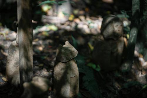 Fotografie z fotogalerie ubytování BuSu Forest Forever Hotel v destinaci Tu-ťiang-jen