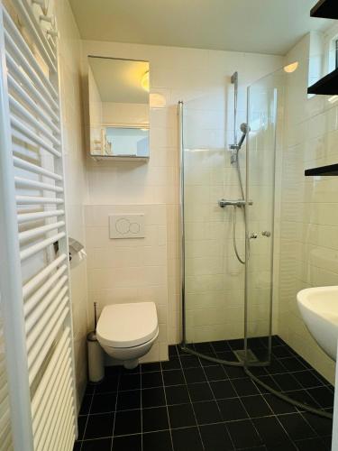 a bathroom with a shower and a toilet and a sink at Beachhouse Seepaertje - Boulevard Noordwijk aan Zee in Noordwijk aan Zee
