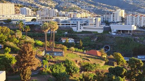 a view of a city with palm trees and buildings at Magnolia Apartment Luxury Apt Great views in Funchal