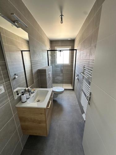 une salle de bain avec un lavabo et des toilettes dans l'établissement Maison 40 avec 5 chambres lechaffardcom, à Satolas-et-Bonce