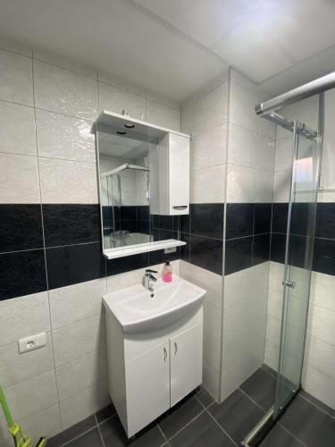 un bagno con lavandino, specchio e doccia di APARTMANS AJAN OHRID a Ohrid