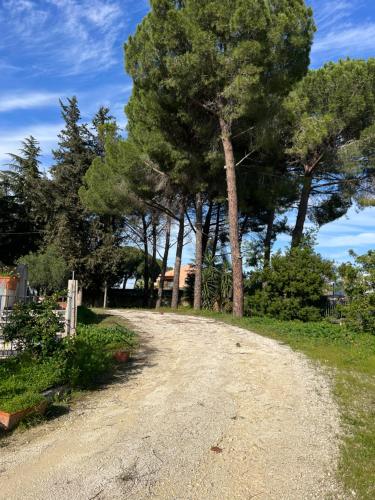 a dirt road with trees and a house in the background at Arte in Villa in Caltagirone