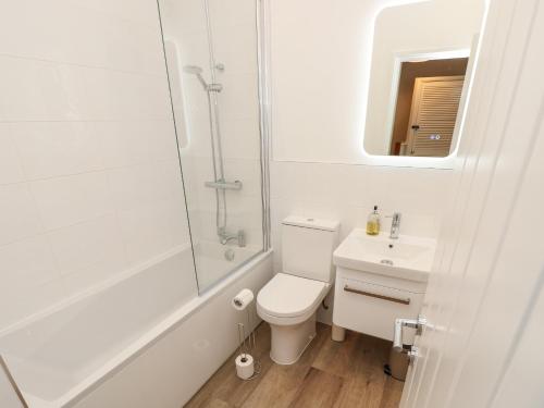 a bathroom with a toilet and a shower and a sink at High Tide in Cowes