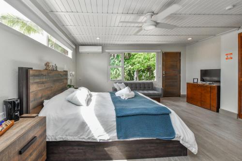 a bedroom with a large bed and a television at Aloe B&B in Oranjestad