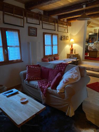 Χώρος καθιστικού στο COURCHEVEL 1300M LE PRAZ LE FRENEY CHALET Soluna