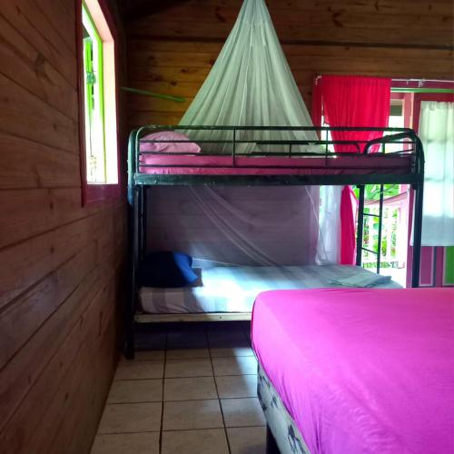 Postel nebo postele na pokoji v ubytování 3 Rivers Eco Lodge
