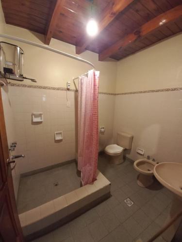 a bathroom with a shower and a toilet and a sink at El Shaddai in Tilcara