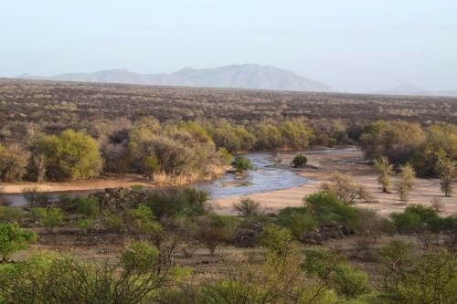 a river in the middle of a field with trees at Karibu Self-Catering unit 2 in Omaruru