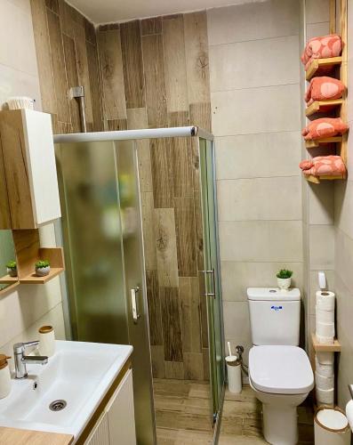 a bathroom with a shower and a toilet and a sink at Mavrovo_apt4 in Mavrovo
