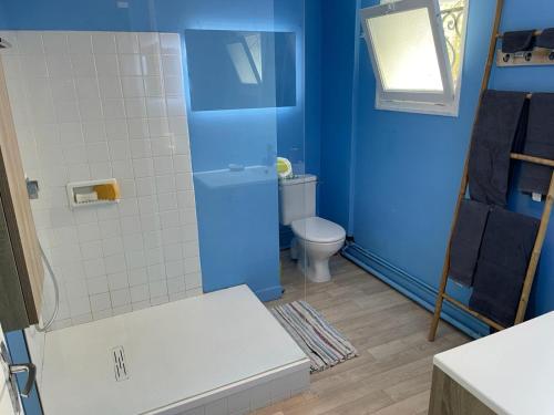une salle de bain avec toilettes et un mur bleu dans l'établissement El Nido, à Saint-Georges-de-Didonne