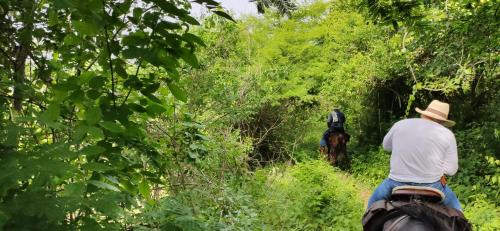 Επισκέπτες που μένουν στο Alquiler de caballos y cabalgatas por el Atlántico