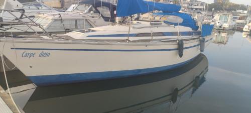 Billede fra billedgalleriet på Carpe Diem i Lissabon