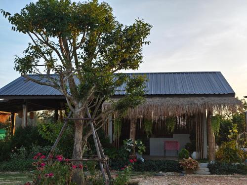 Κήπος έξω από το อุ่นไอนา โฮมสเตย์ ณ นครพนม Aun-i-na Homestay Nakhonphanom