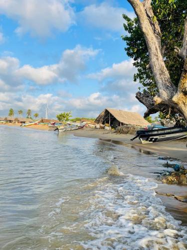 Landskap semula jadi dekat dengan resort