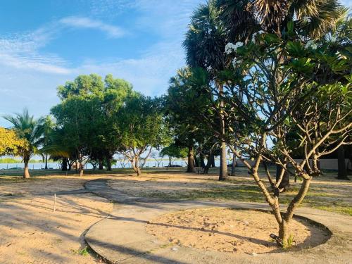 Landskap semula jadi dekat dengan resort