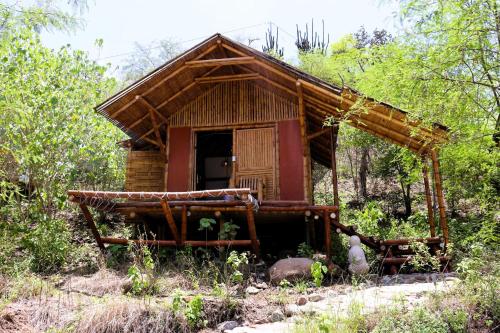 a small hut in the middle of a forest at Izotal Bioluxury Hotel in Taminango