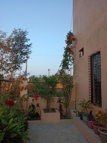a courtyard with potted plants on the side of a building at AK family Home Stay in Gaushala