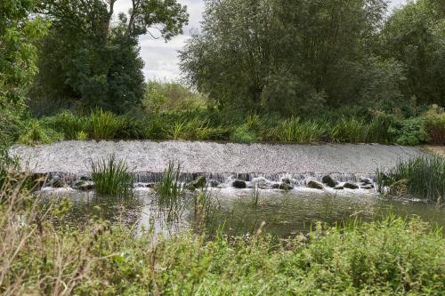 a garden with a pond and rocks and trees at Farm stay close to Shakespeare's Stratford-upon-Avon in Stratford-upon-Avon
