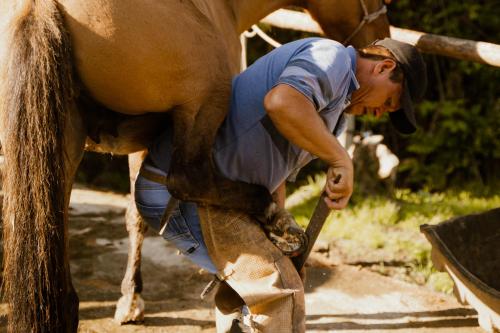 un hombre está cortando la pierna de un caballo en Reserva Guadalajara - Cocora Valley, en Salento
