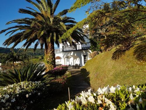 a palm tree in front of a house with flowers at Villa Magia Verde in Furnas