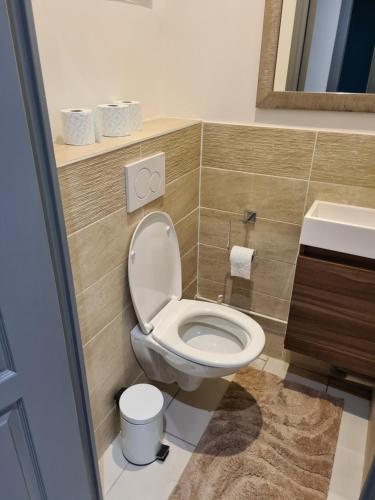 une salle de bain avec toilettes et lavabo dans l'établissement Maison en centre ville, à Cormeilles-en-Parisis