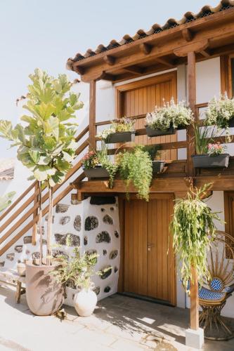 a bunch of potted plants on a balcony at Dreamsea Boutique Experience in Moya
