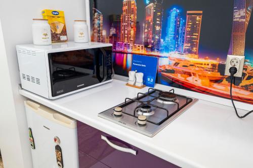 a microwave sitting on a counter next to a stove at Panorama Suite in Galaţi