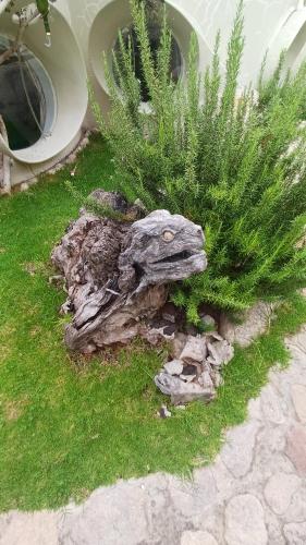 a model of a plant with a rock in the grass at Wifala Harmony Hotel in Urubamba